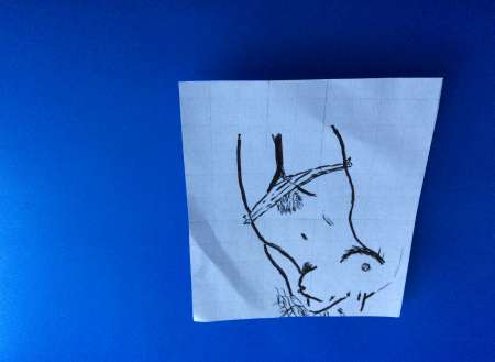 Photo de  recherche accompagnatrice pour réveillon 1er l’an