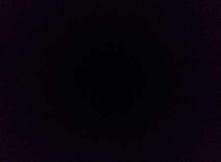 Photo de Intersexe hermaphrodite