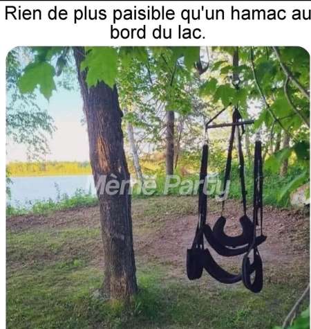 Photo de Homme celib pour femme