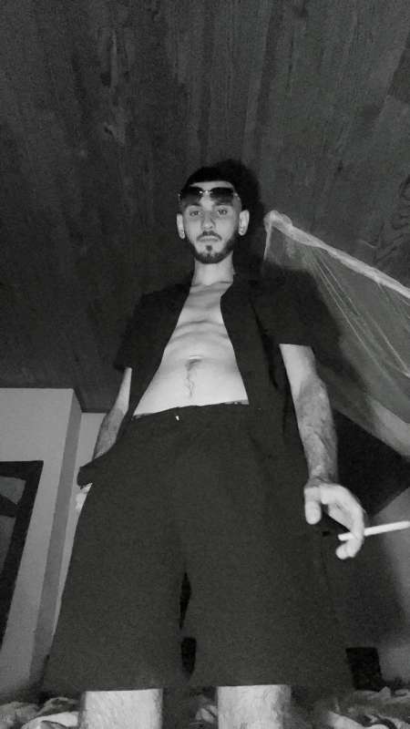 Photo de Bel étalon musclé